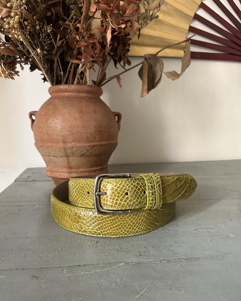 Silver metal buckle belt - Kiwi - Image 2