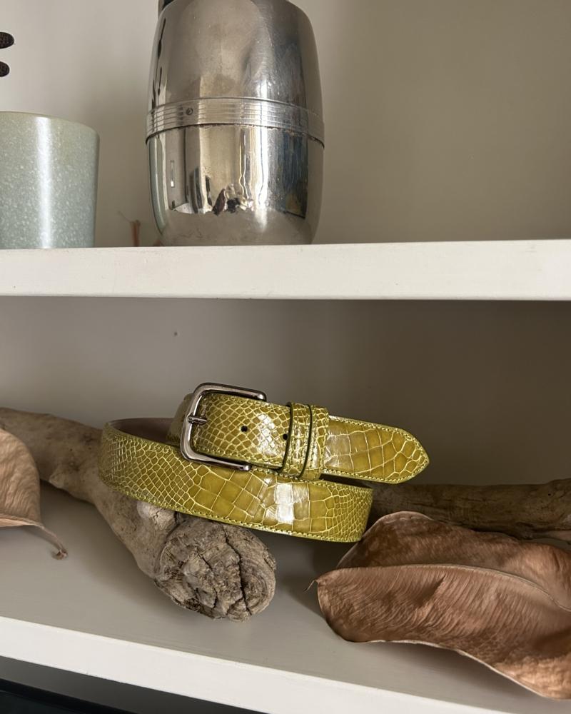 Silver metal buckle belt - Kiwi - Image 4
