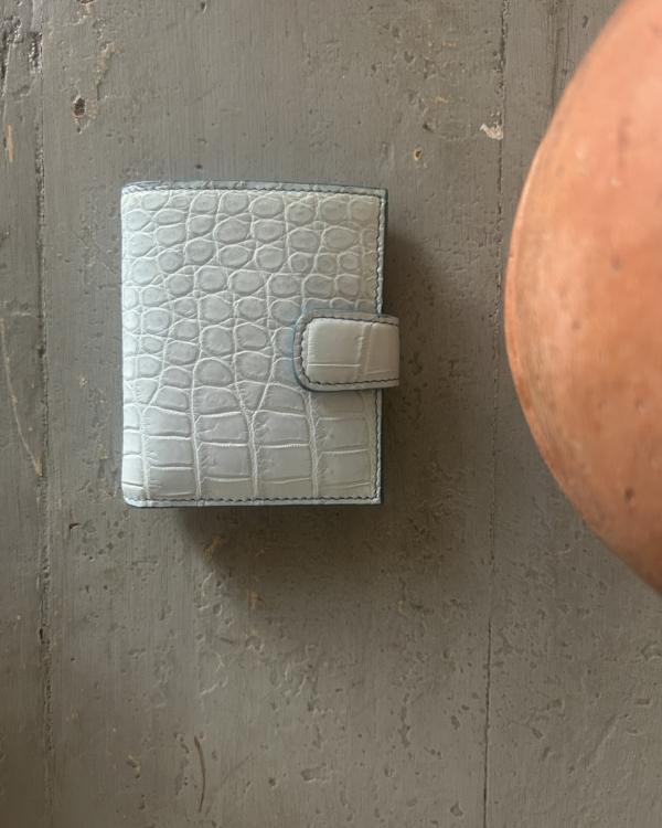 Portafoglio - Ghiaccio